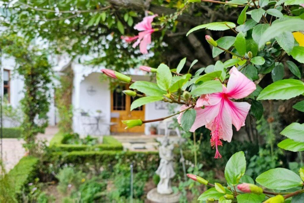 Grey Rabbit Cottage Montagu Exterior foto